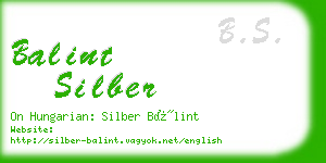 balint silber business card